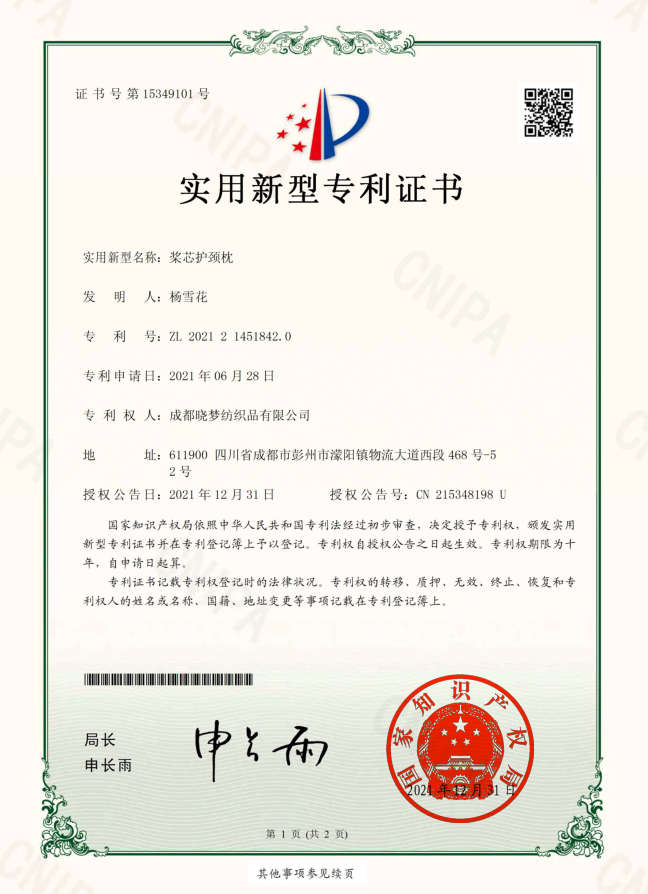 专利证书101.png